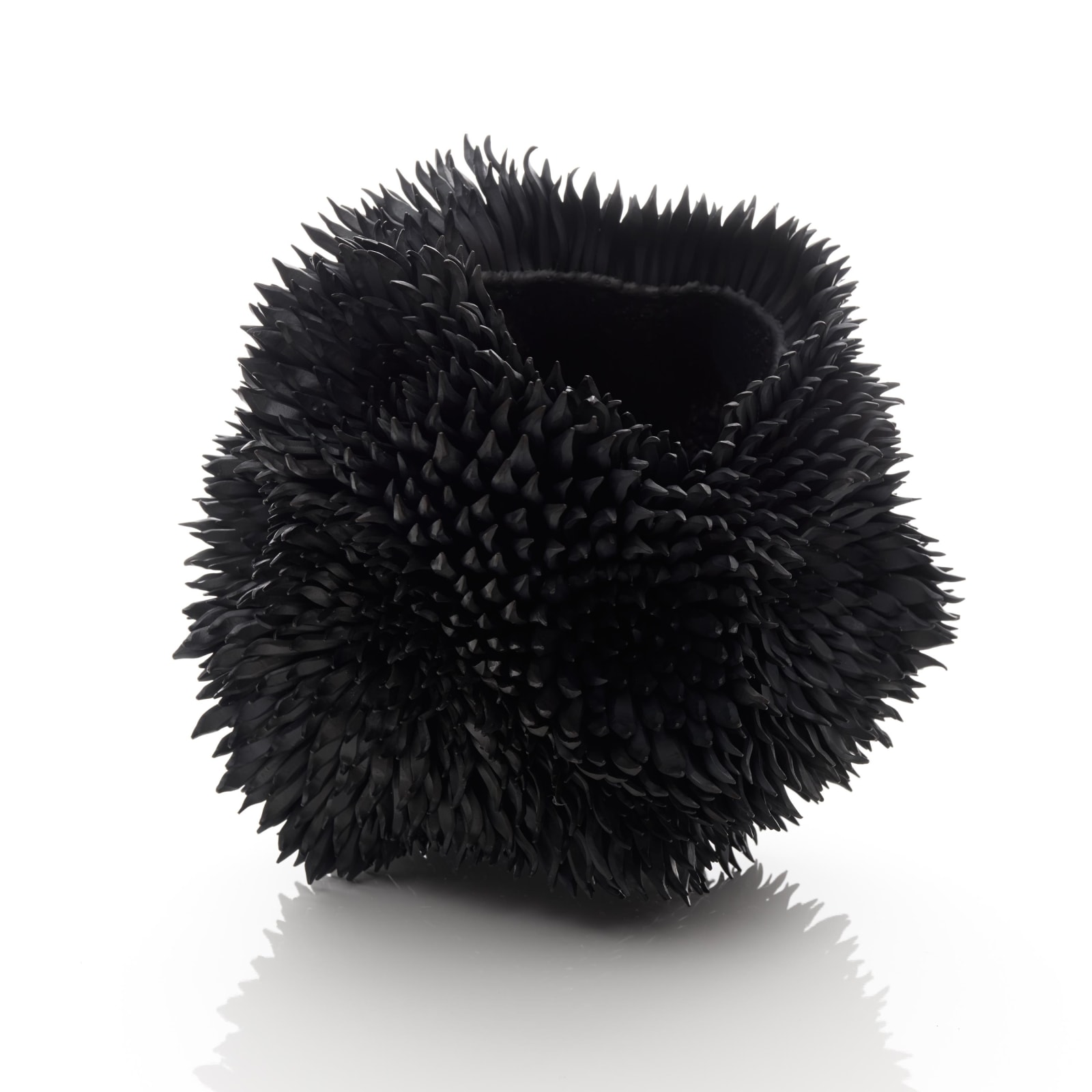 Junko Mori, Propagation Project; Multiple Nigella, 2016