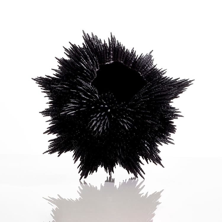 Junko Mori, Propagation Project: Multiple Fir Needles, 2023