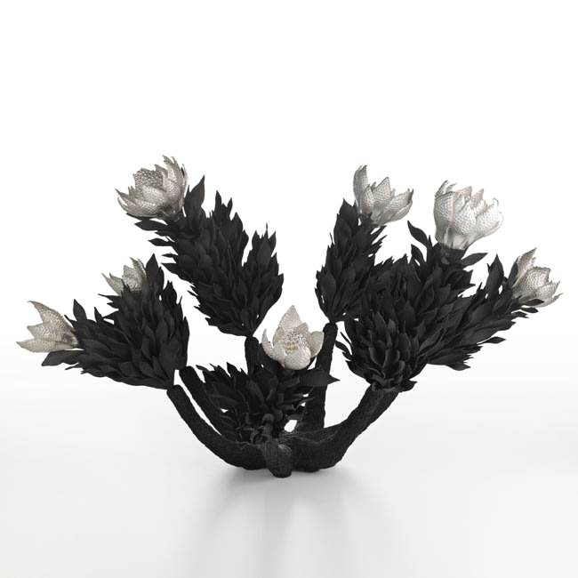 Junko Mori, Botany Series; Berries, 2019