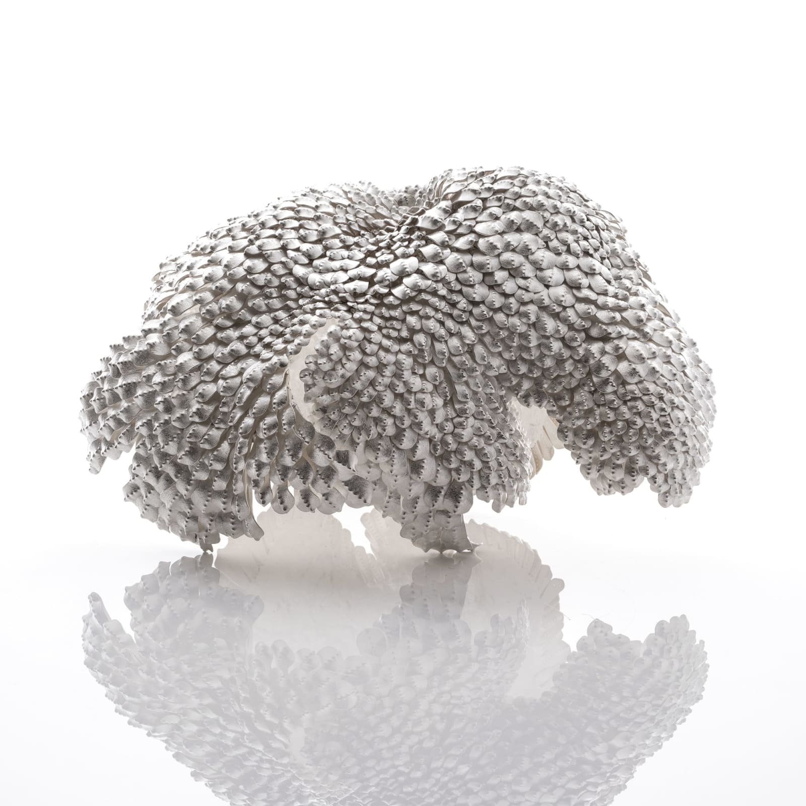 Junko Mori, Silver Organism, Cowrie Bird, 2025