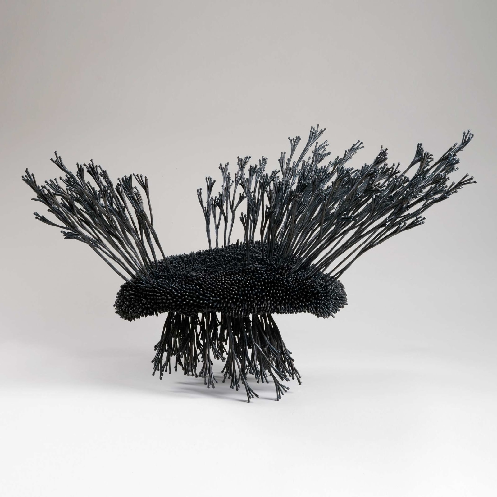 Junko Mori, Propagation Project; Coppiced Wood, Seed, 2013