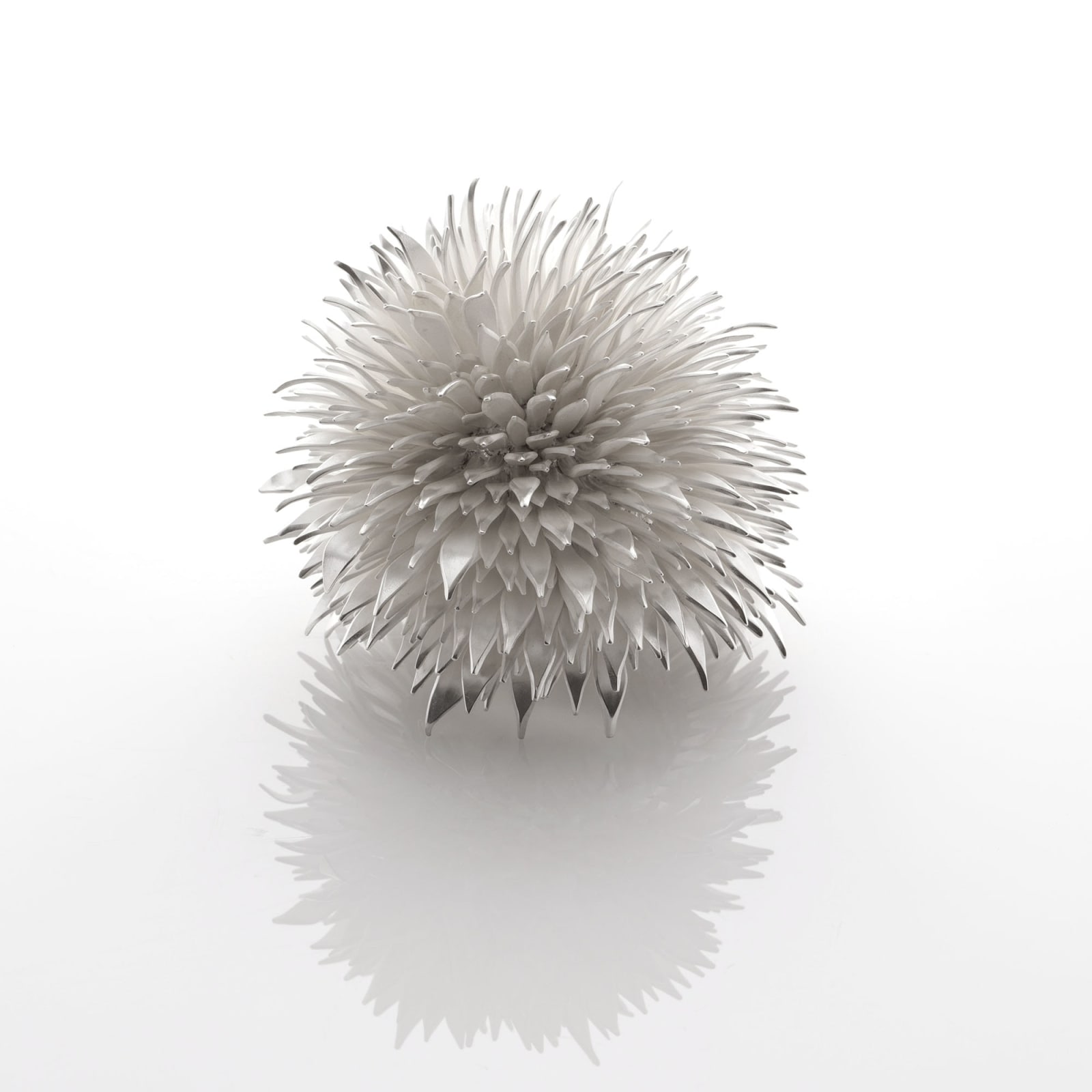 Junko Mori, Silver Organism, Dense Nigella, 2024