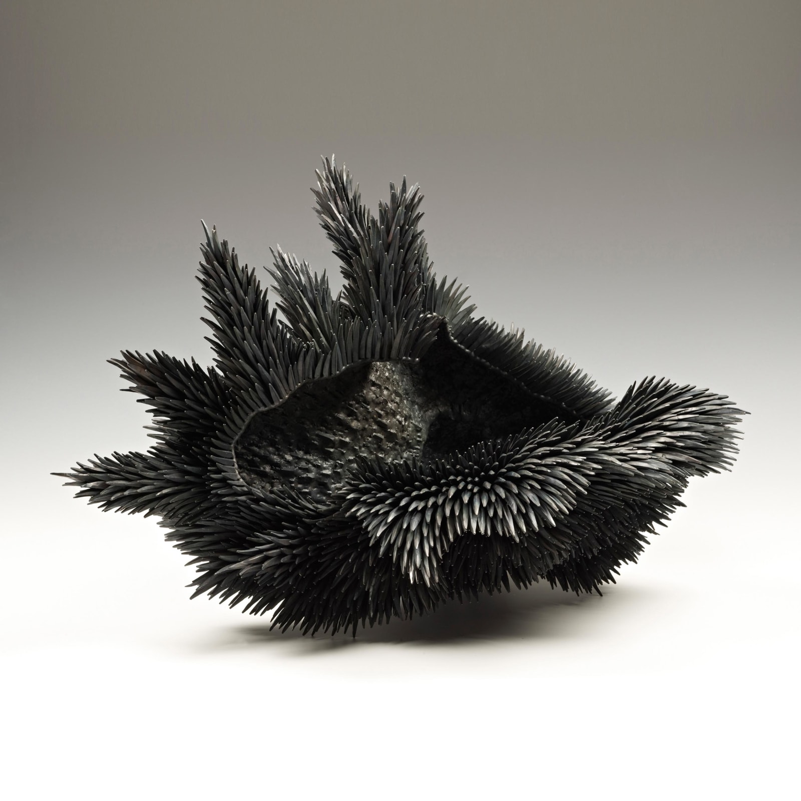 Junko Mori, Propagation Project; Pine Needle Mutation, 2015