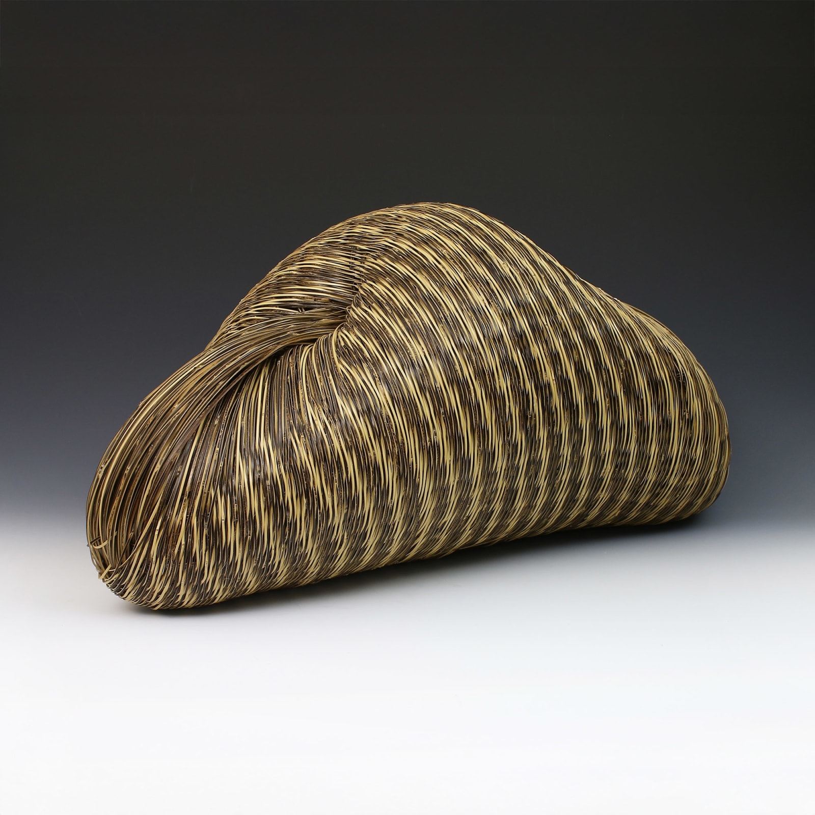 Chikuunsai IV Tanabe, Connection IV, 2016