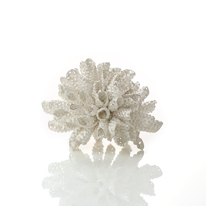 Junko Mori, Silver Organism; Urchin, 2020