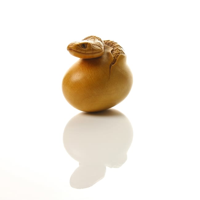 Susan Wraight, Hatching Snake, circa 1983 to 1993