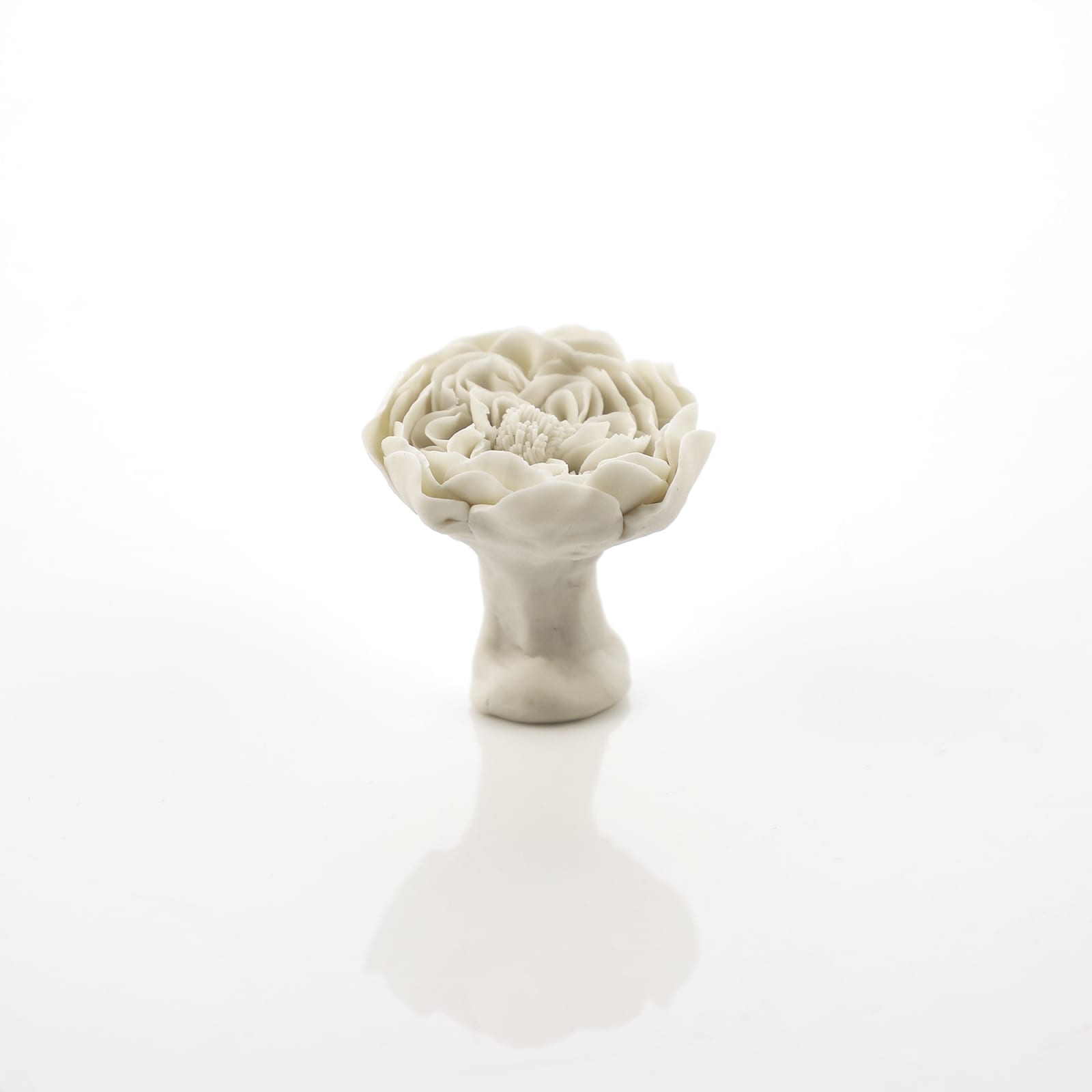 Hitomi Hosono, An English Rose, 2024