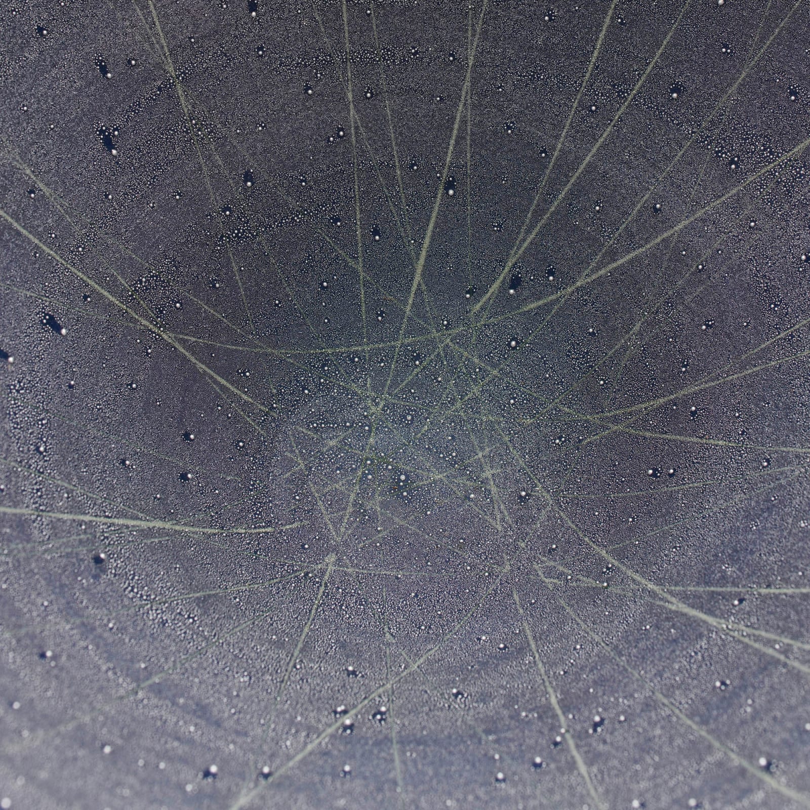 Takahiro Kondo, Silver Mist Bowl, 2023