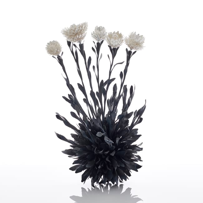 Junko Mori, Botany; Kokedama / Lavender, 2017