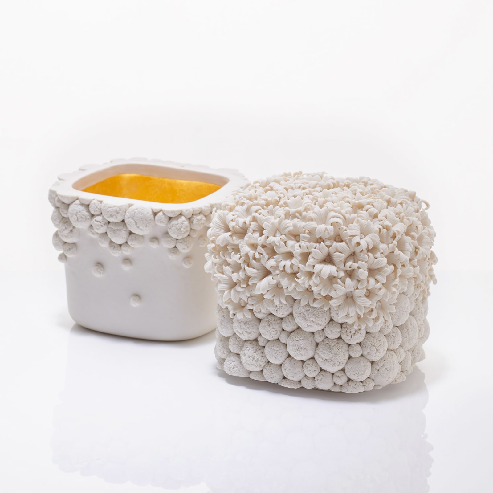 Hitomi Hosono, A Tall Tsutsuji and English Daisy Box, 2020