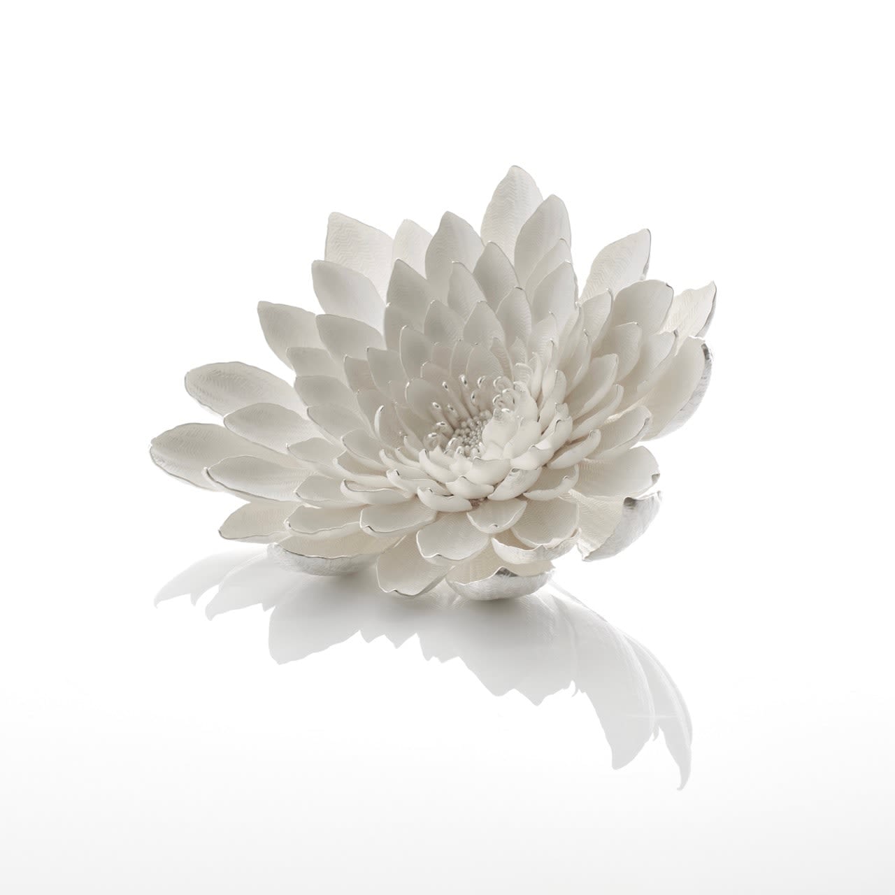 Junko Mori, Silver Organism; Dahlia, 2023