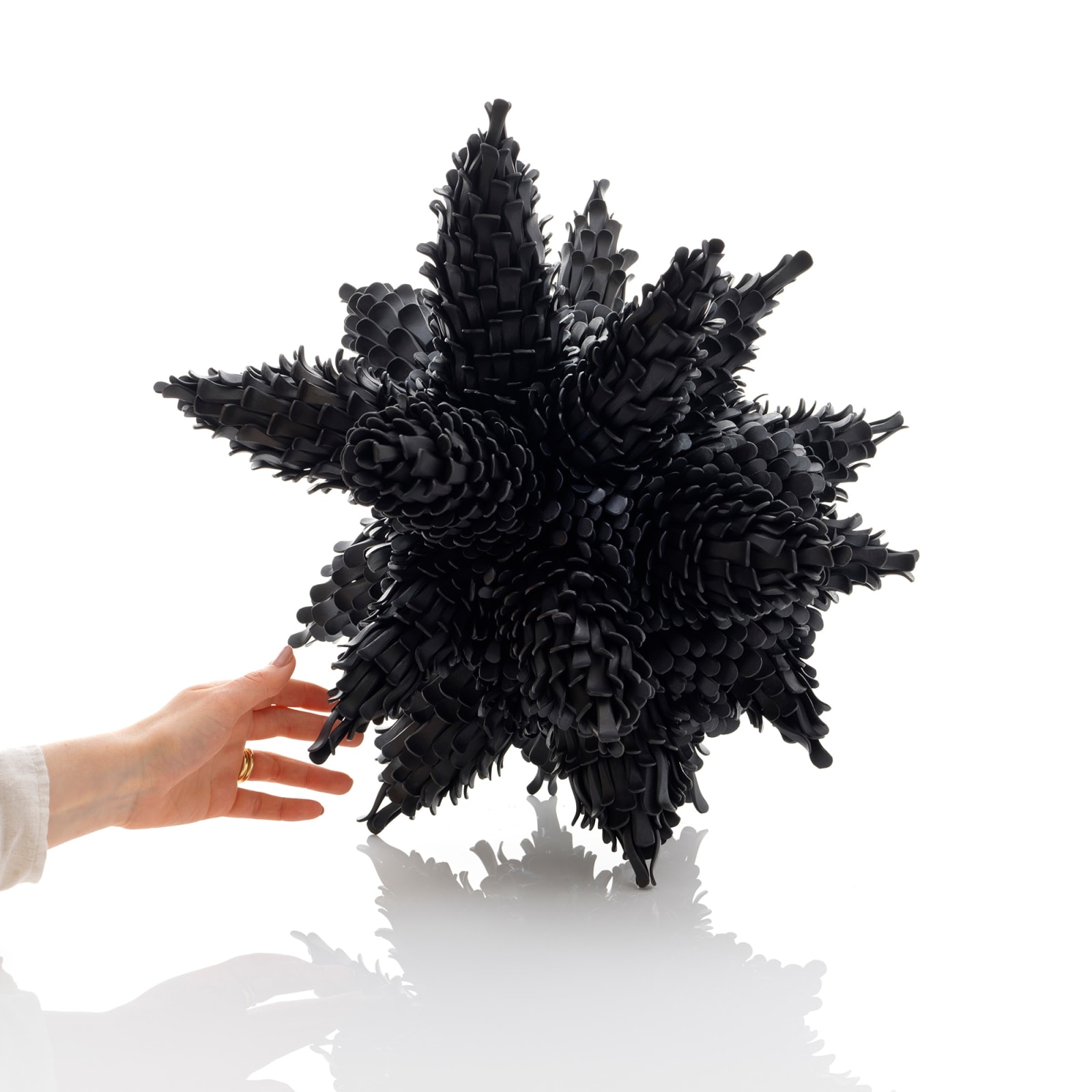 Junko Mori, Propagation Project; Multiple Pinecone, 2024