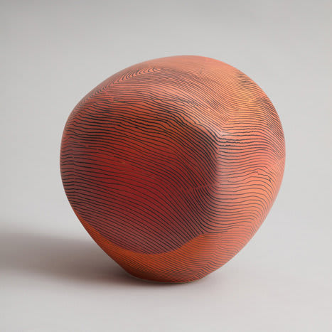 Pippin Drysdale, Lizard Warming, 2017