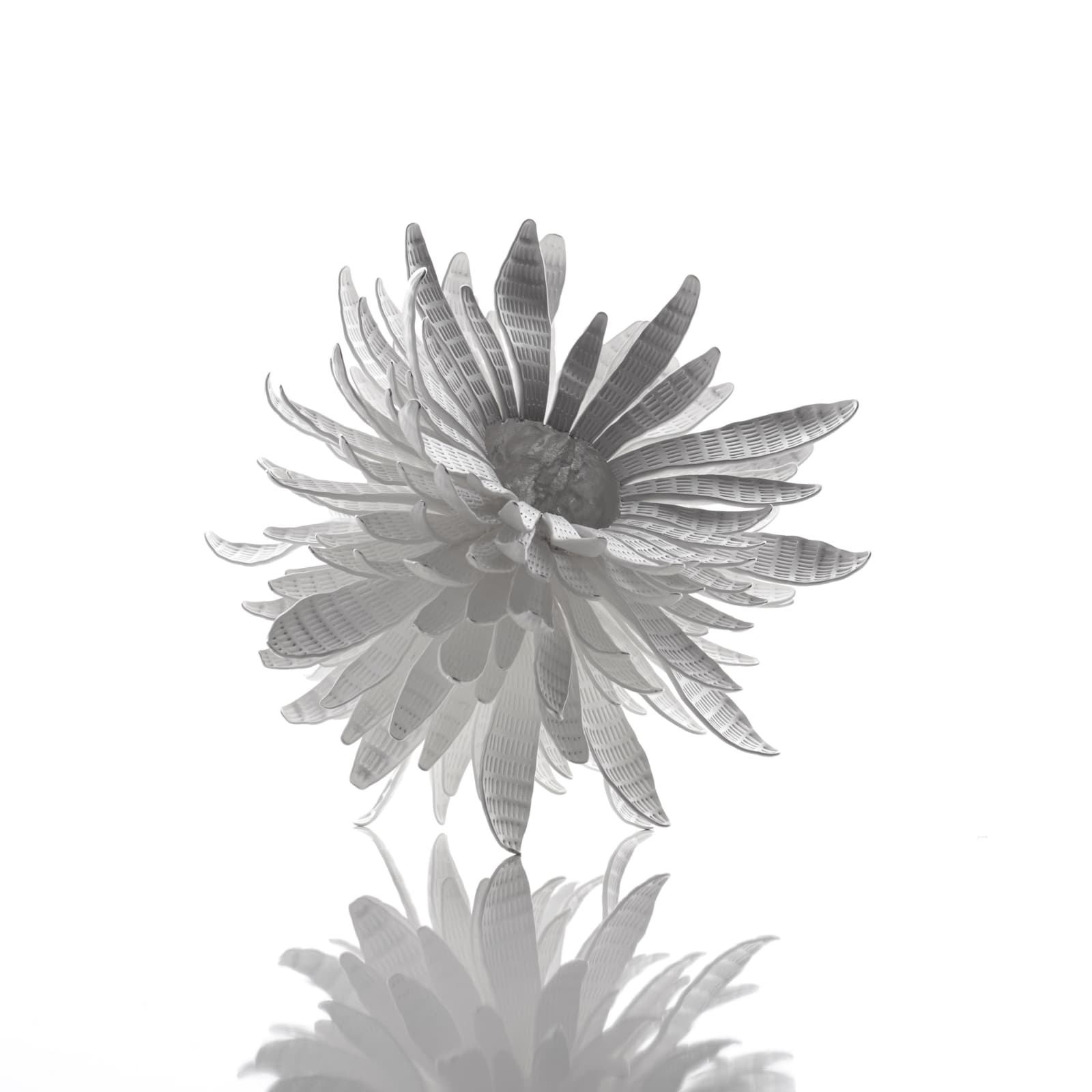 Junko Mori, Silver Organism; Cananga, 2016