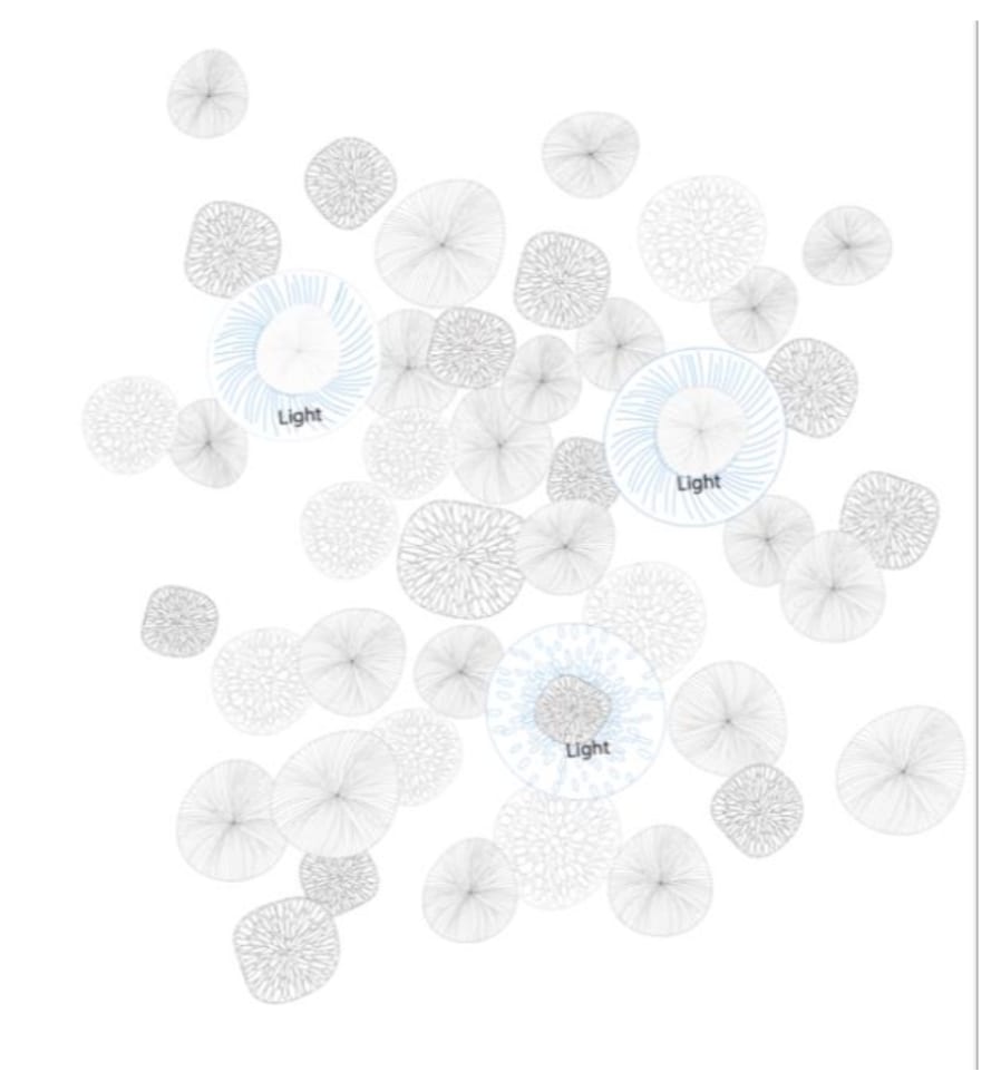 Vezzini and Chen, Wildflower Meadow, 2025