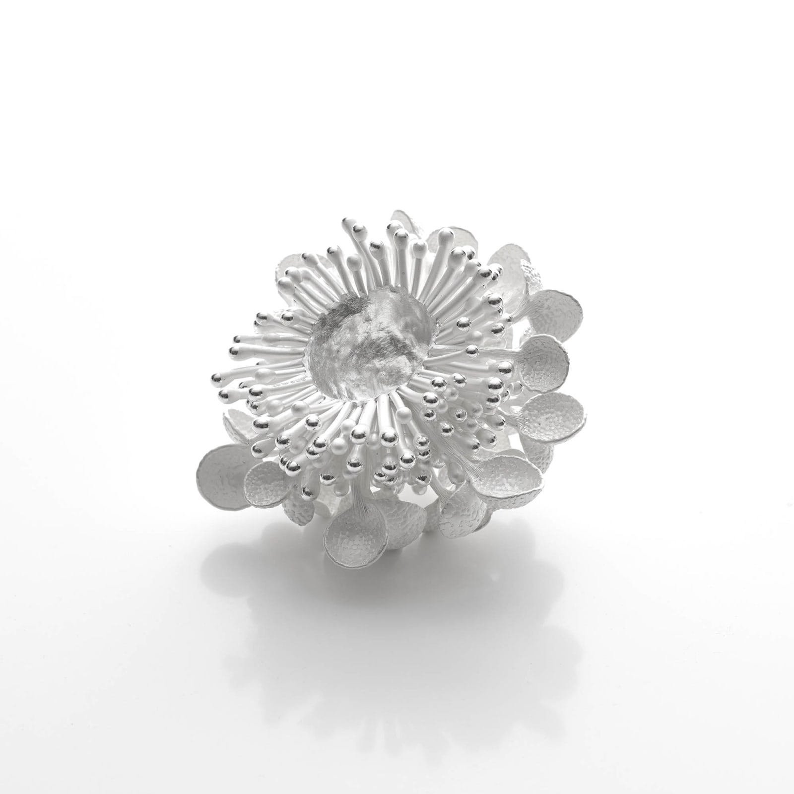 Junko Mori, Silver Organism, Dragon Dew, 2024