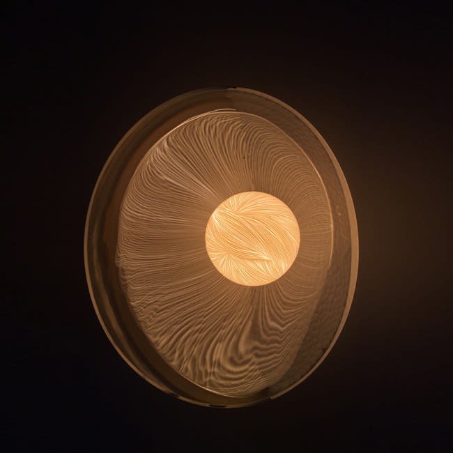 Vezzini and Chen, Commission for Seed Light, 2019