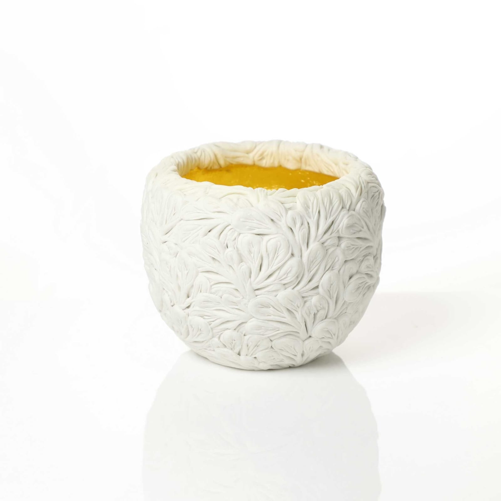 Hitomi Hosono, A Very Small Sakura Bowl, 2020