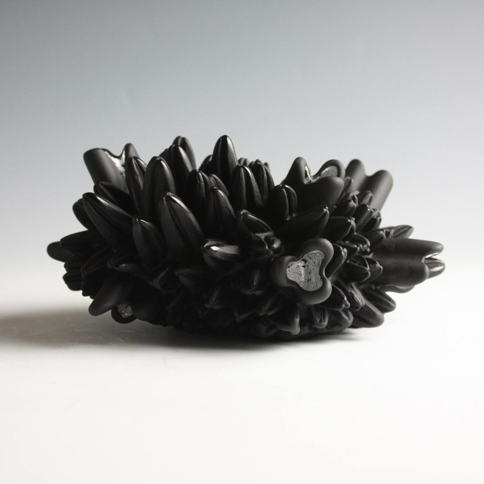Angela Jarman, A Small Guilded Urchin, 2011