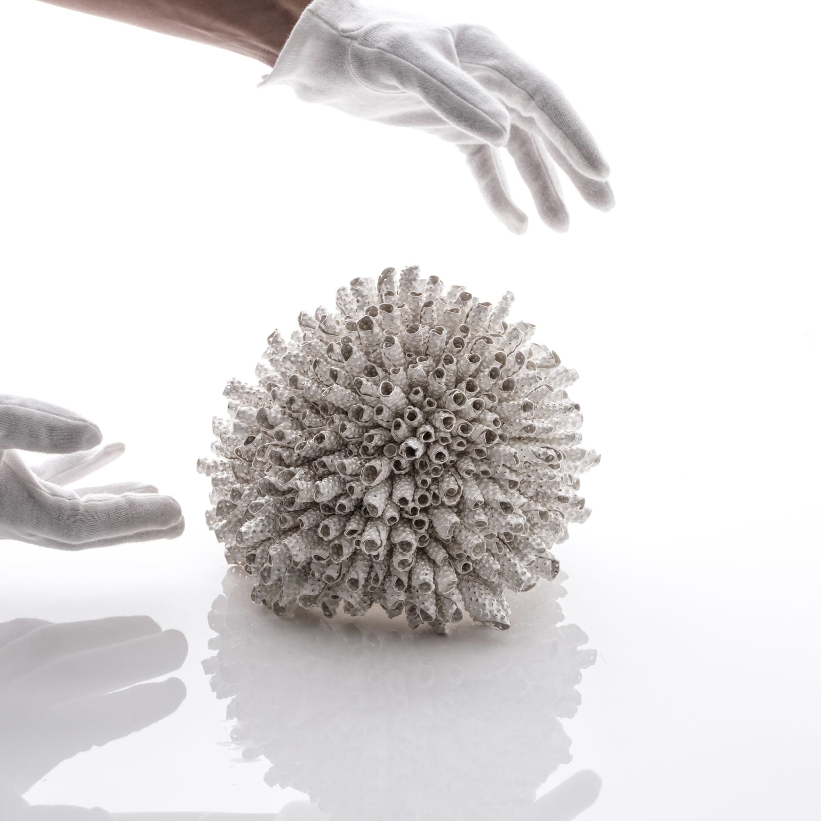 Junko Mori, Silver Organism, Conch, 2025