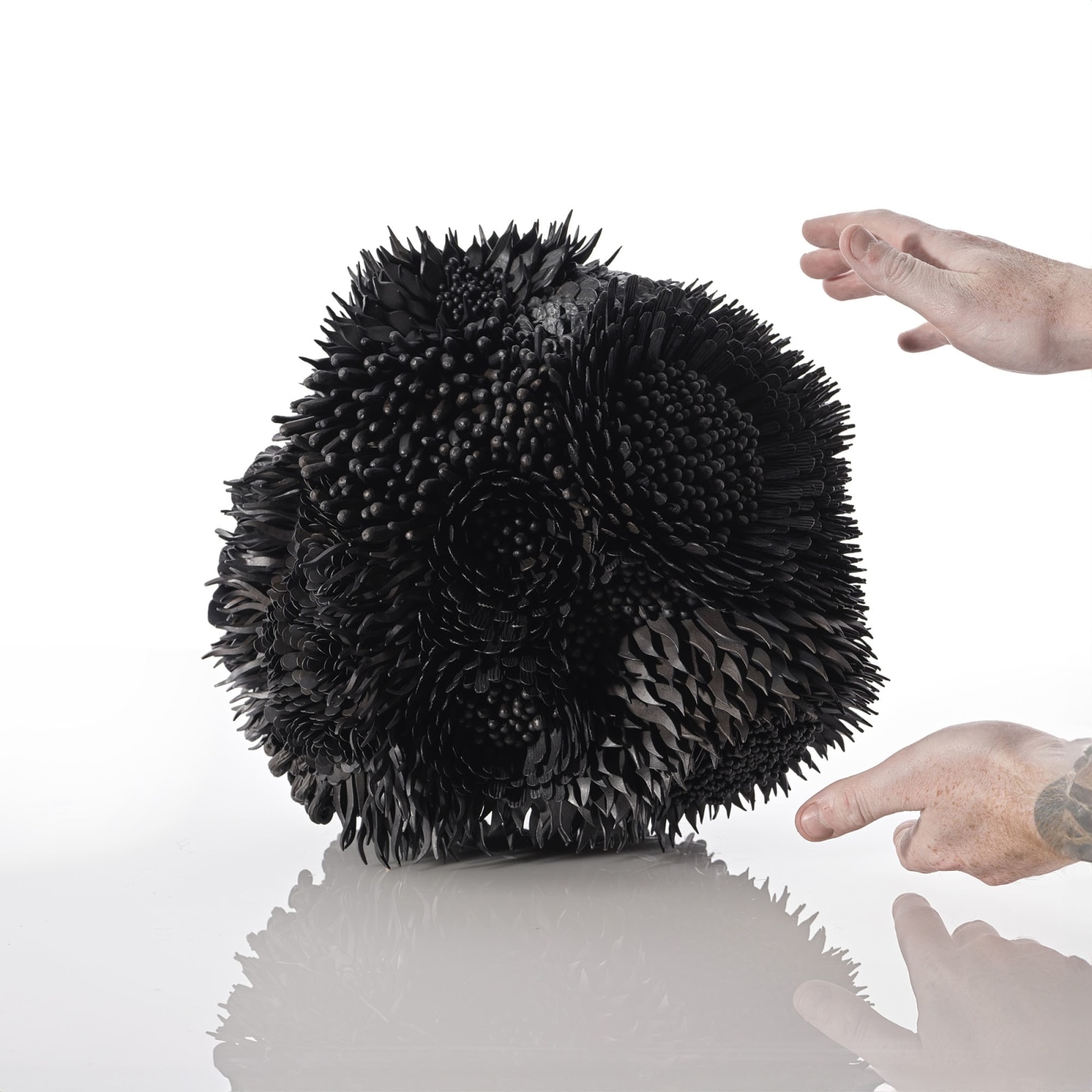 Junko Mori, Propagation Project; Haiku Bloom, 2024