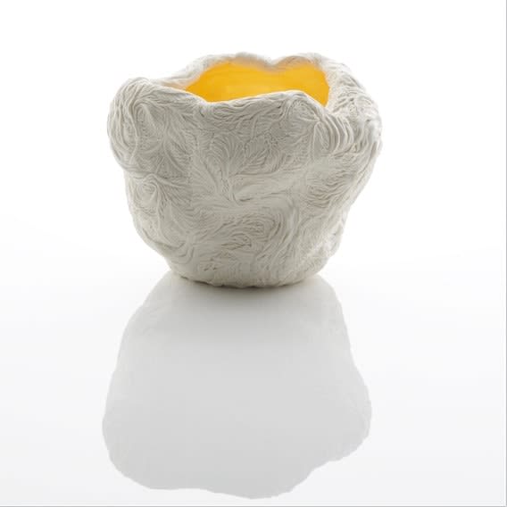 Hitomi Hosono, A Pine Tree Bowl, 2017