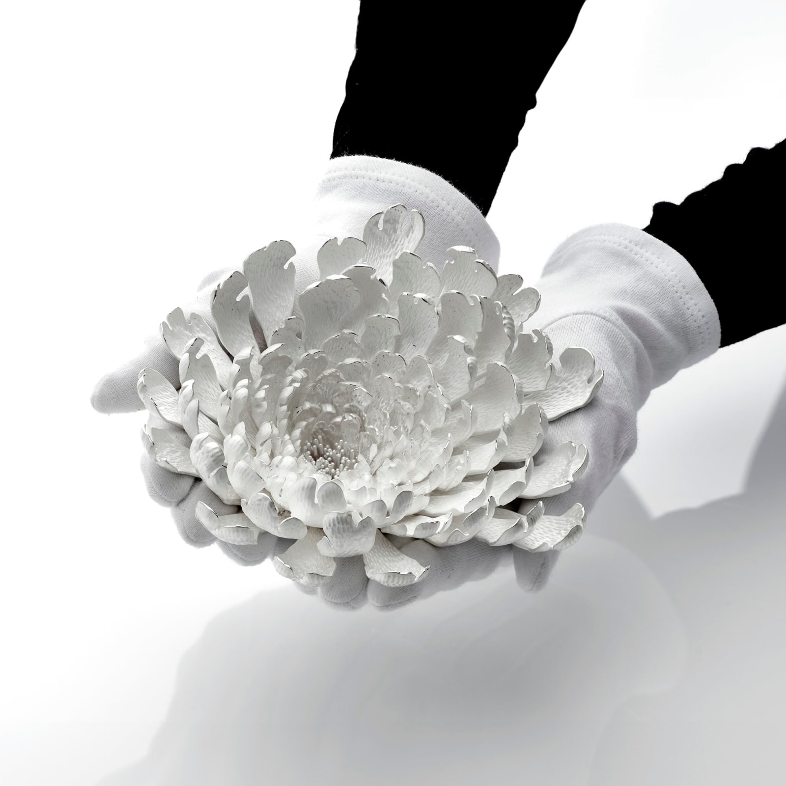 Junko Mori, Silver Organism, Tulip Rococo, 2023