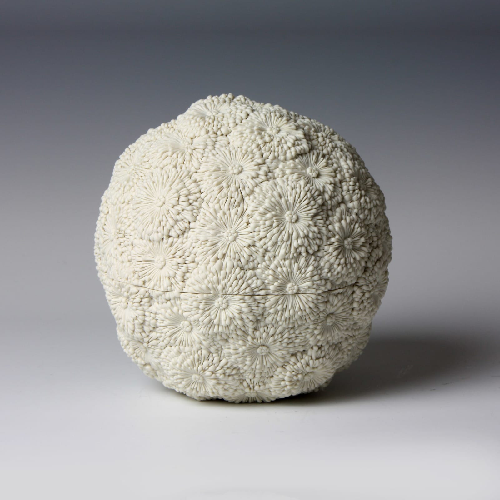 Hitomi Hosono, Chrysanthemum Box, 2014