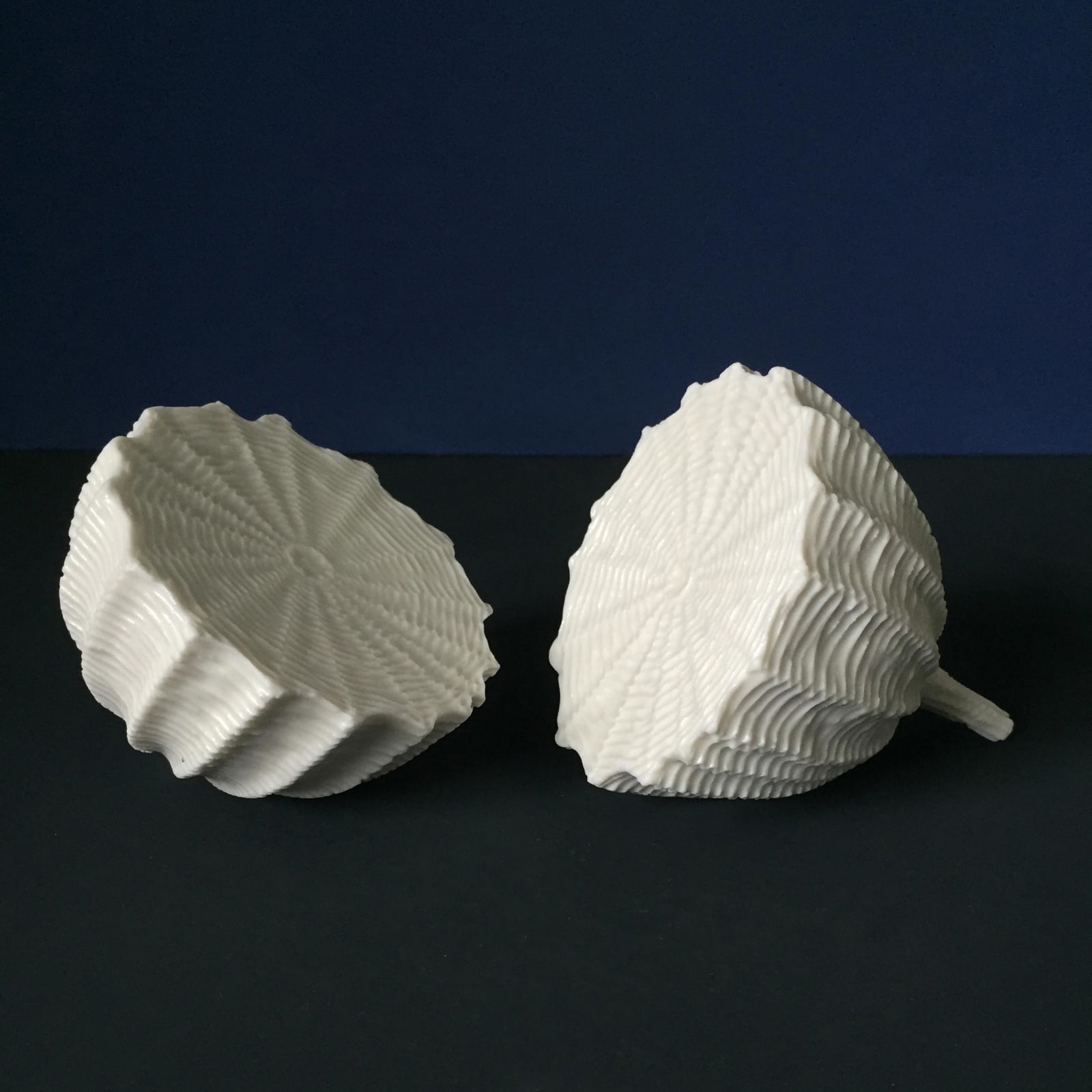 Andrew Wicks, A Pair of Fruits, 2014