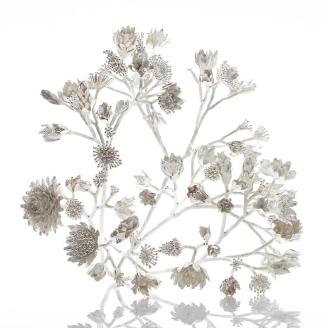 Junko Mori, Uncontrollable Beauty; One Hundred Blossoms, 2017