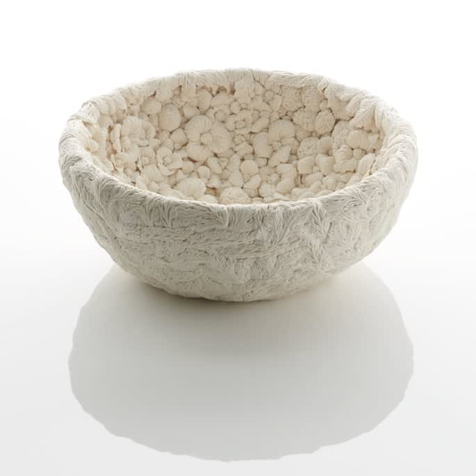 Hitomi Hosono, An English Daisy and Leaves Bowl, 2017