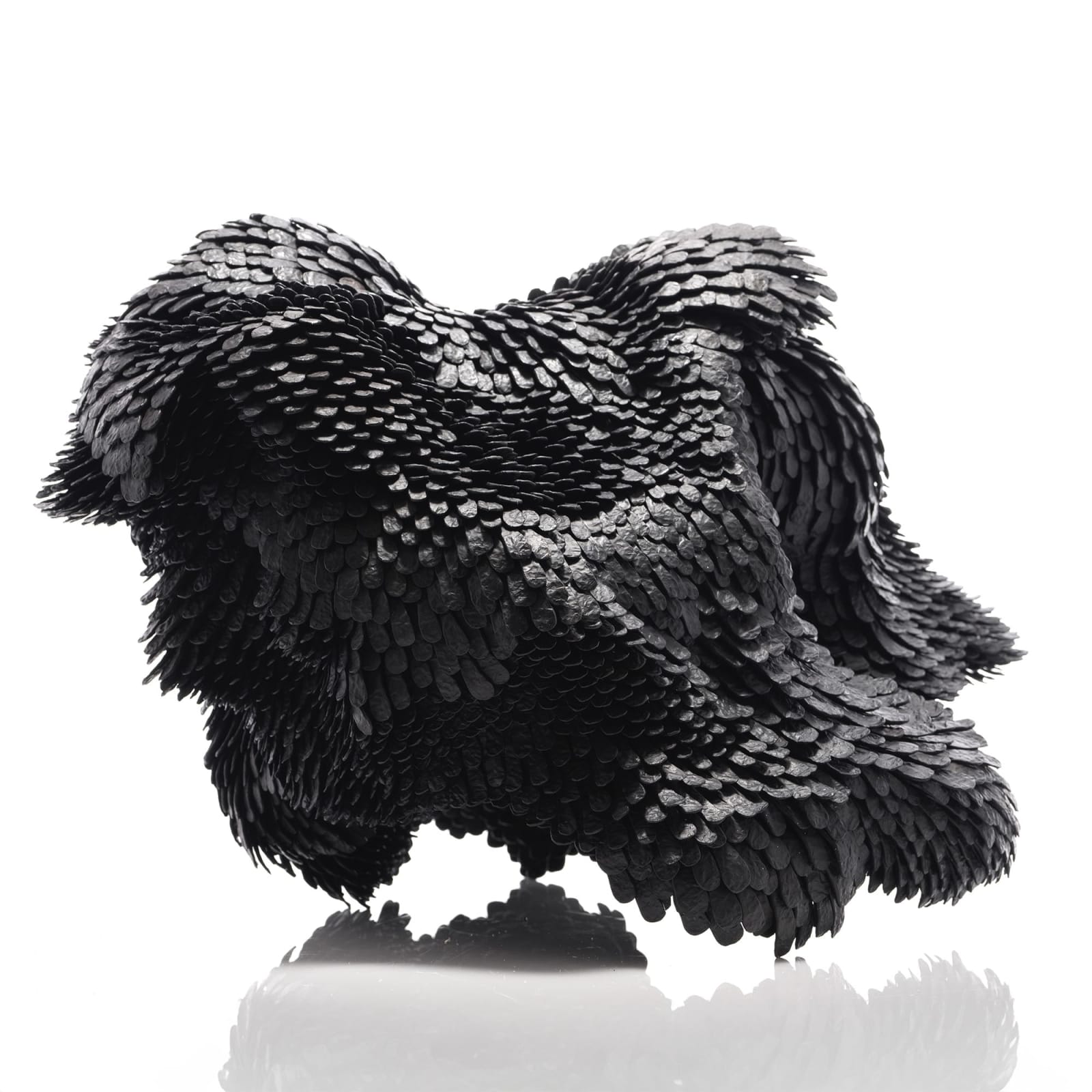 Junko Mori, Propagation Project; Bird Wave, 2024