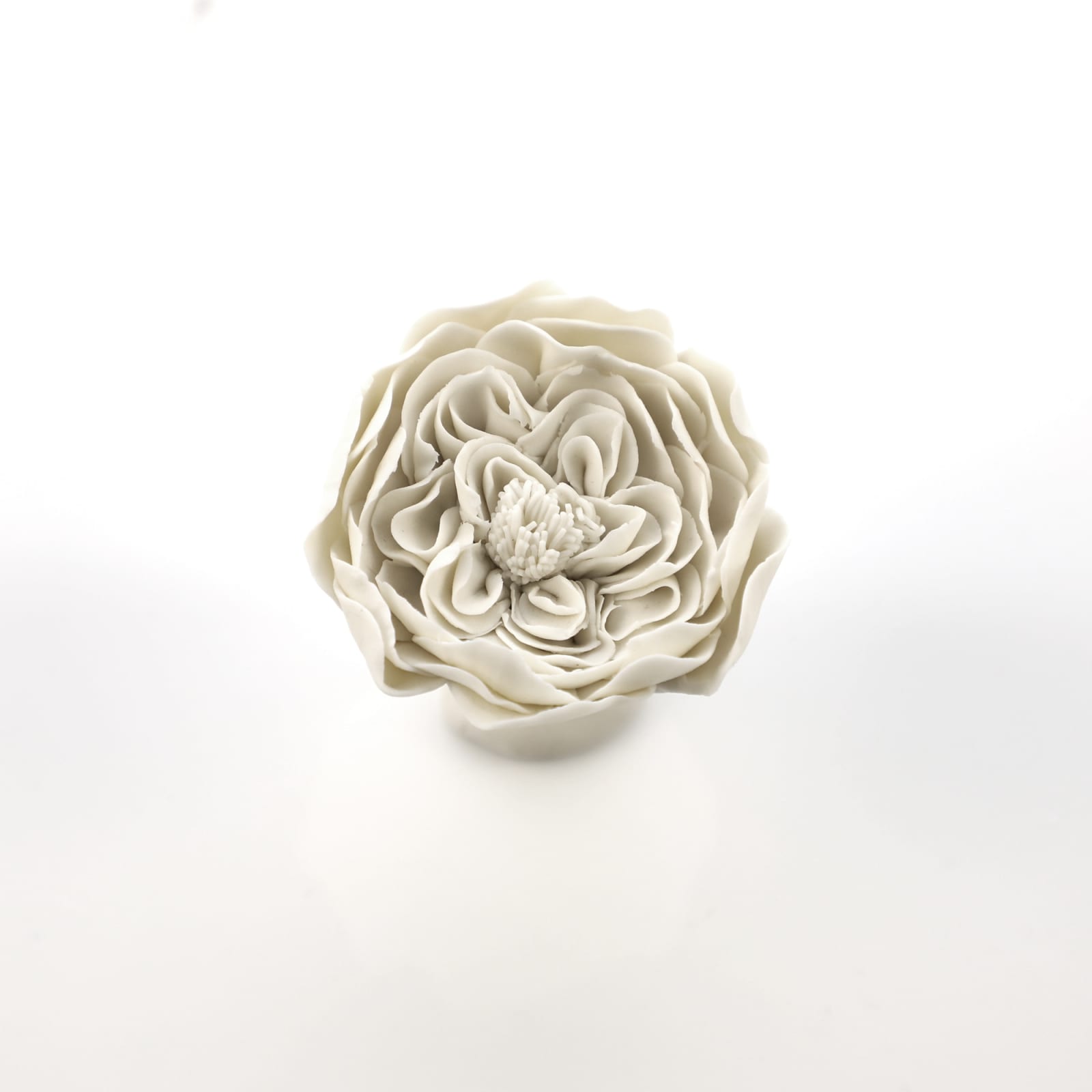 Hitomi Hosono, An English Rose, 2024