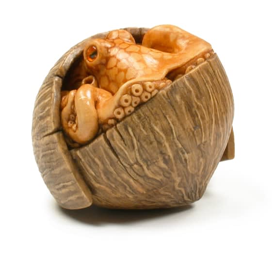 Susan Wraight, Coconut Octopus, 2011