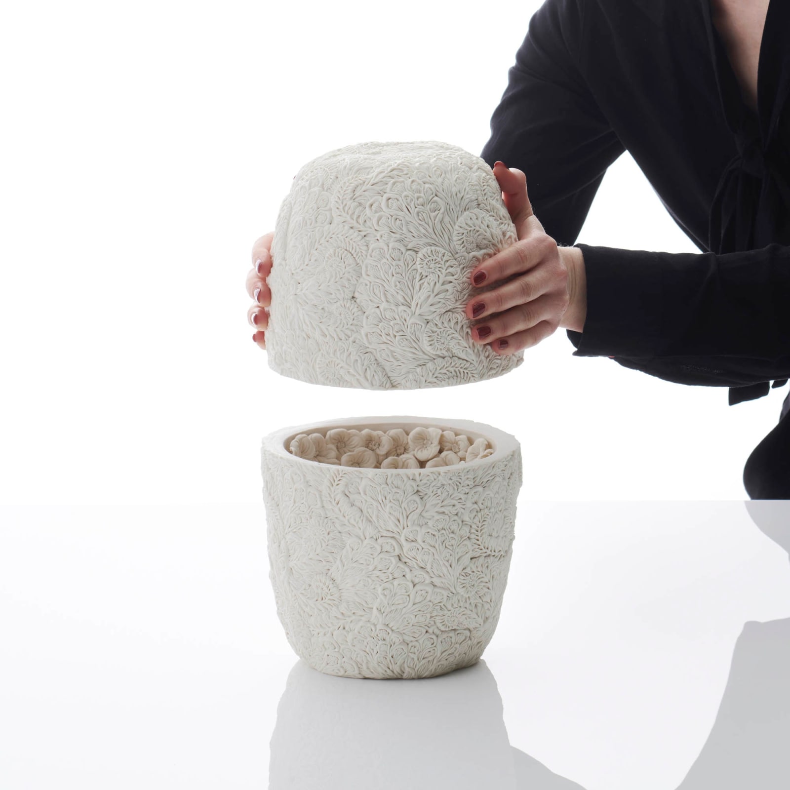 Hitomi Hosono, A Tall Round Zenmai, Mizukusa and Daisy Box, 2023