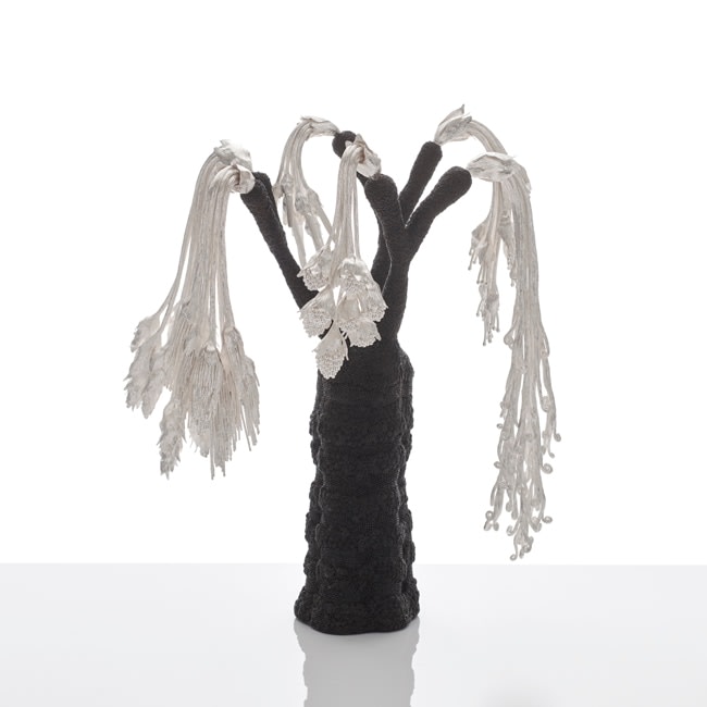 Junko Mori, Botany; Baobab Willow, 2020