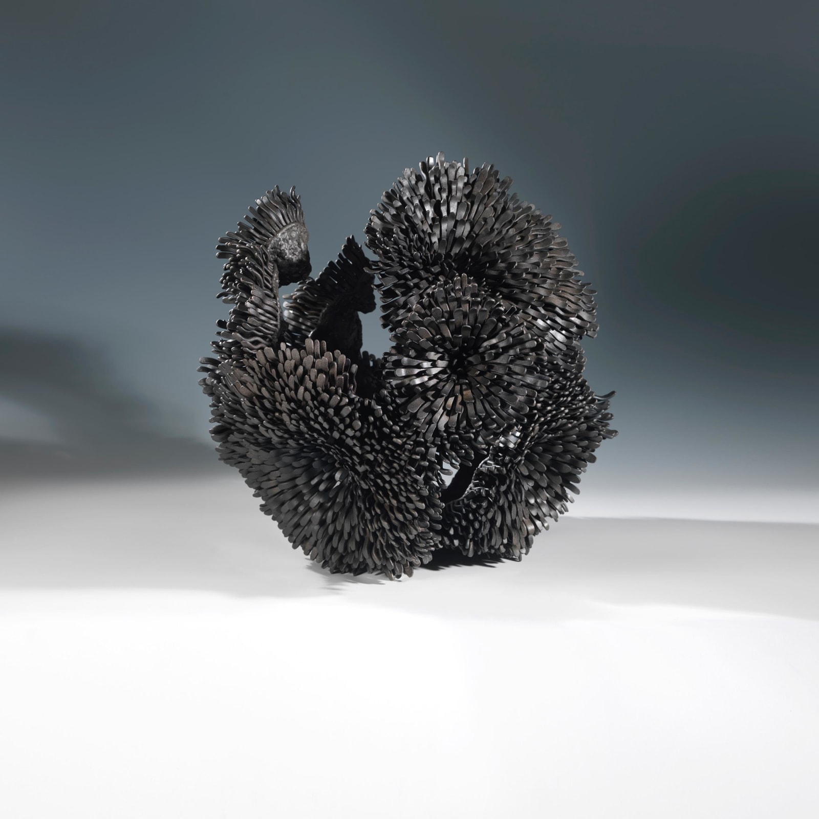 Junko Mori, Propagation Project; Rosularia, 2014