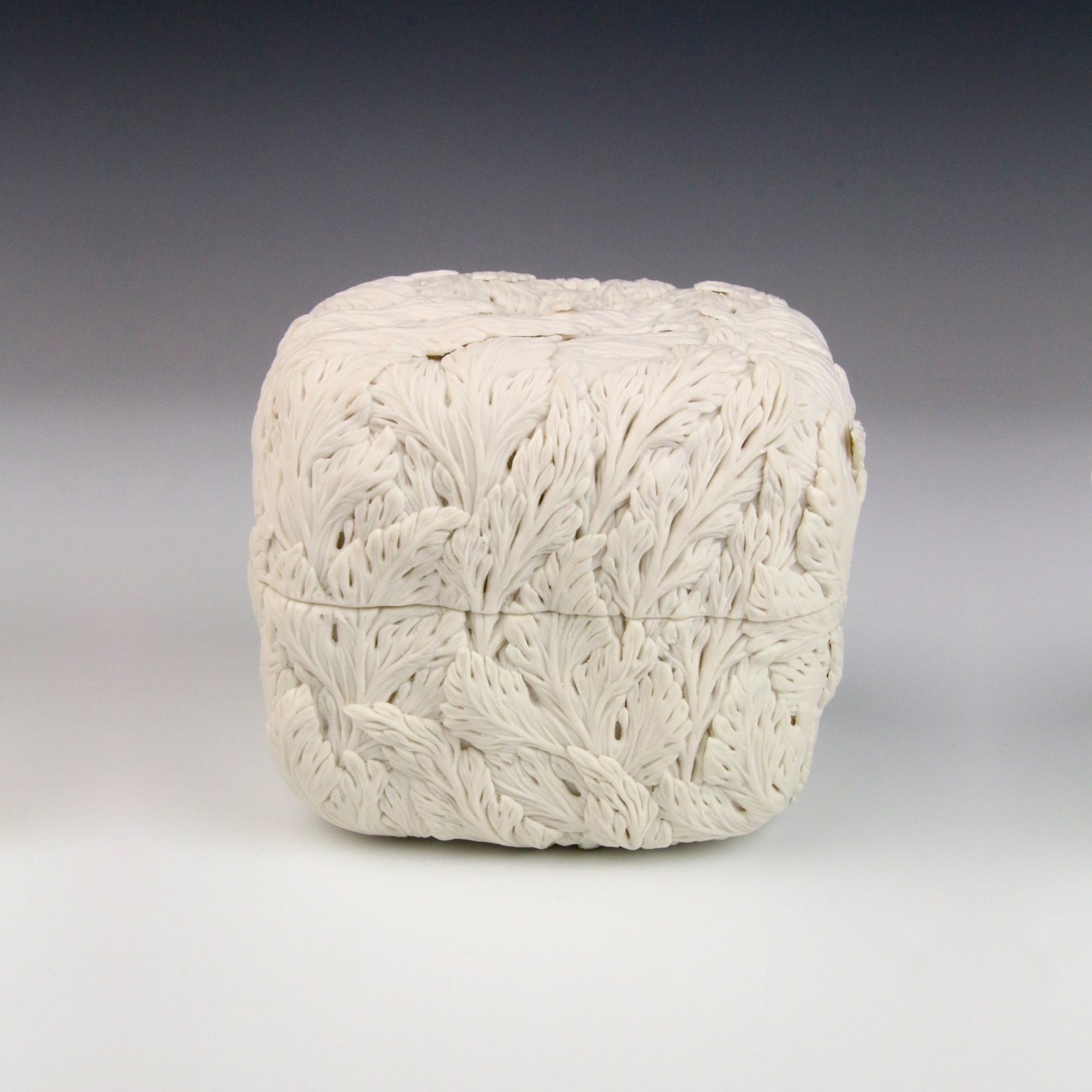 Hitomi Hosono, A Square Leaves Box, 2014