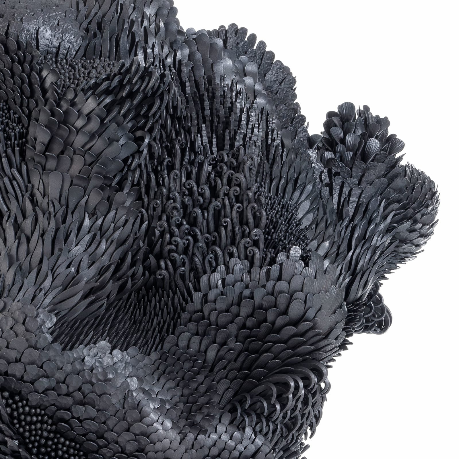 Junko Mori, Propagation Project: Forest Floor, Haiku, 2025