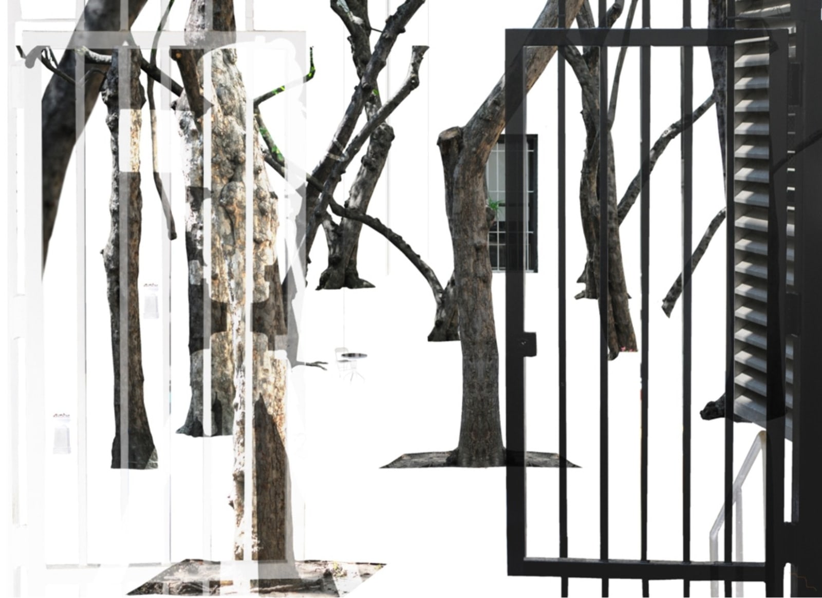 Navjot Altaf, A Place in New York, 2010