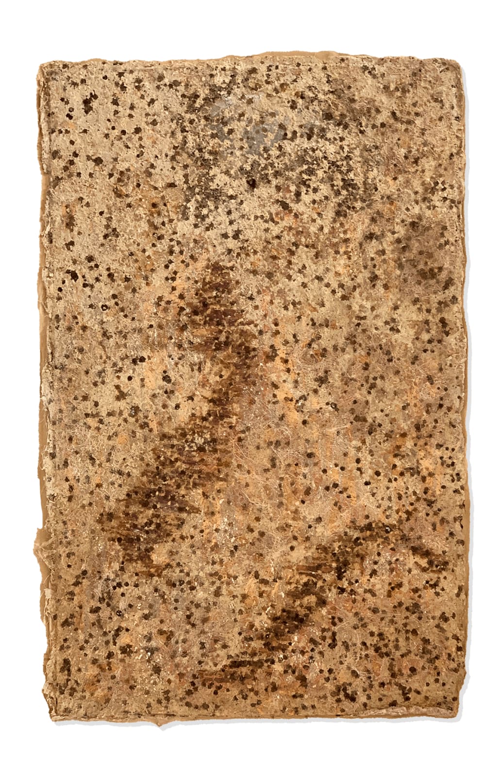 Temandrota, Berenty (La où est la source), 2022