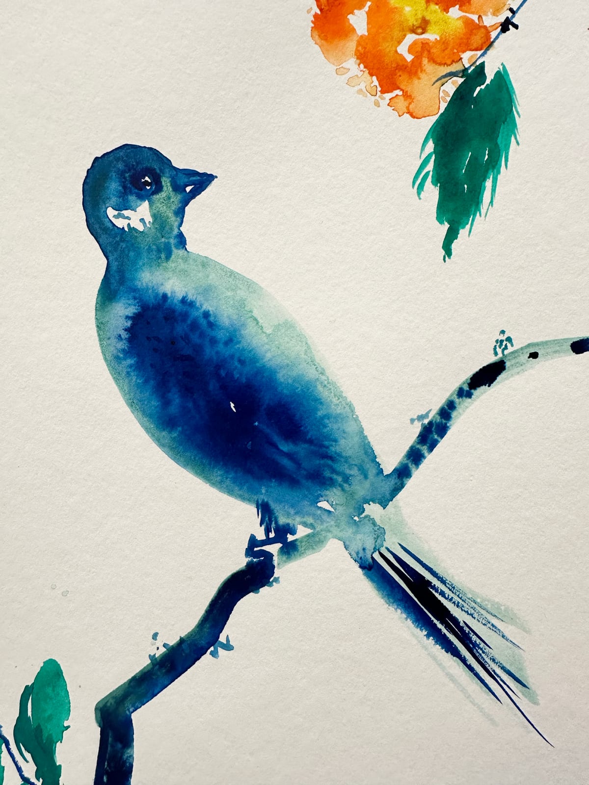 Omar Mahfoudi, Blue Bird 17, 2024