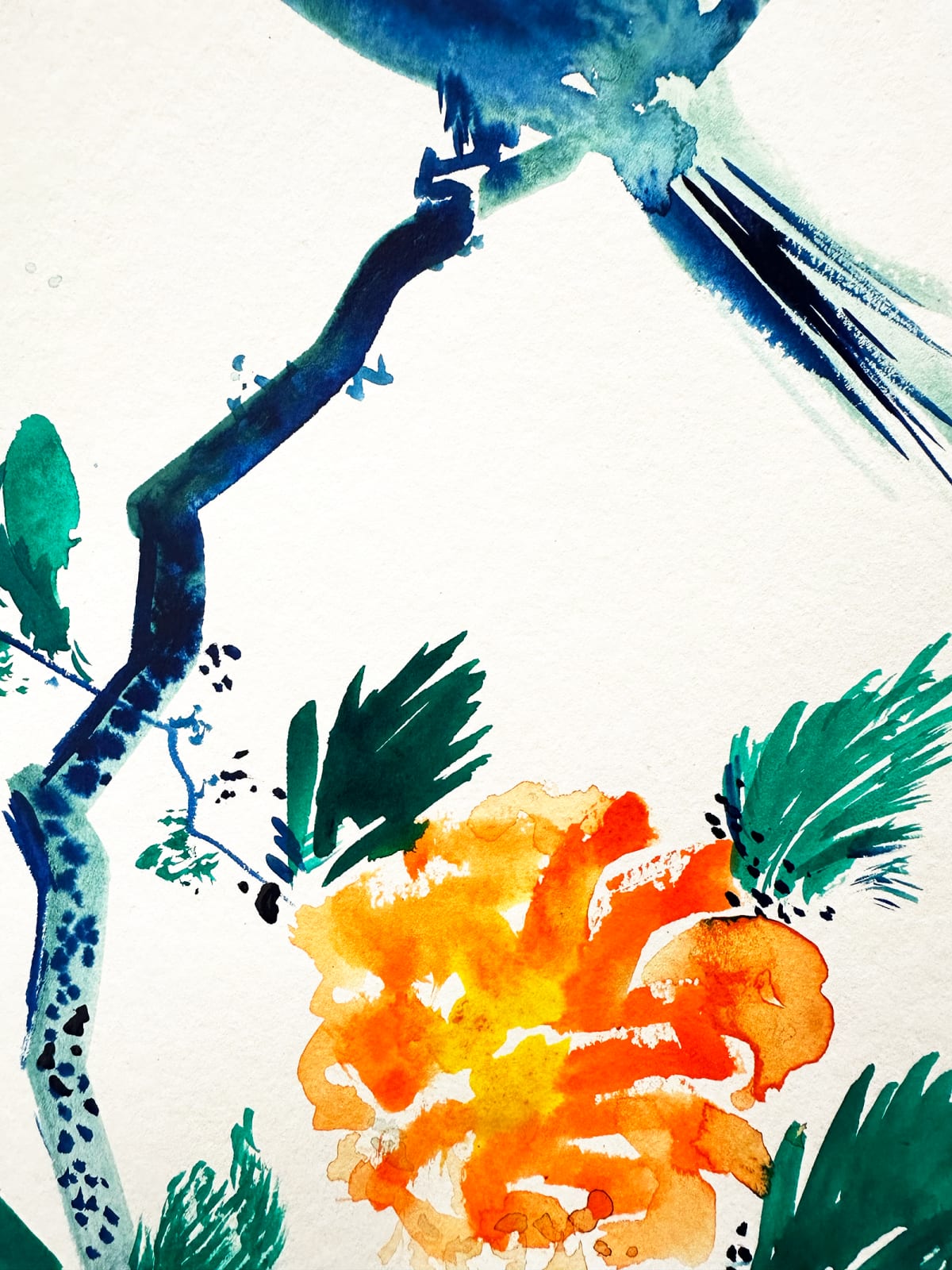 Omar Mahfoudi, Blue Bird 17, 2024