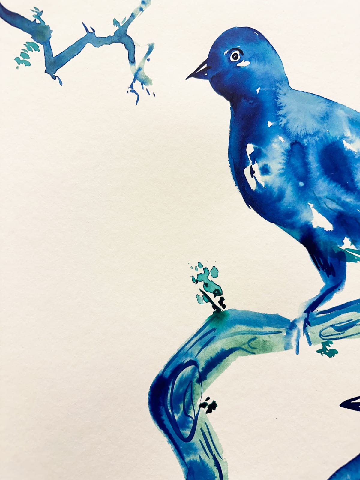 Omar Mahfoudi, Blue Bird 15, 2024