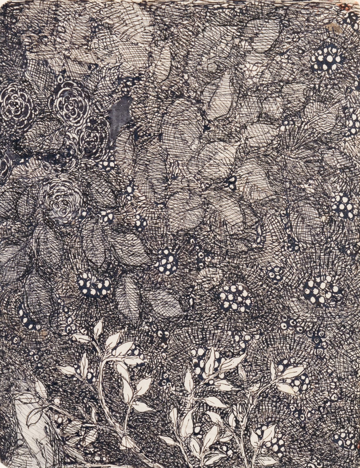 Annie French Flowers and Foliage