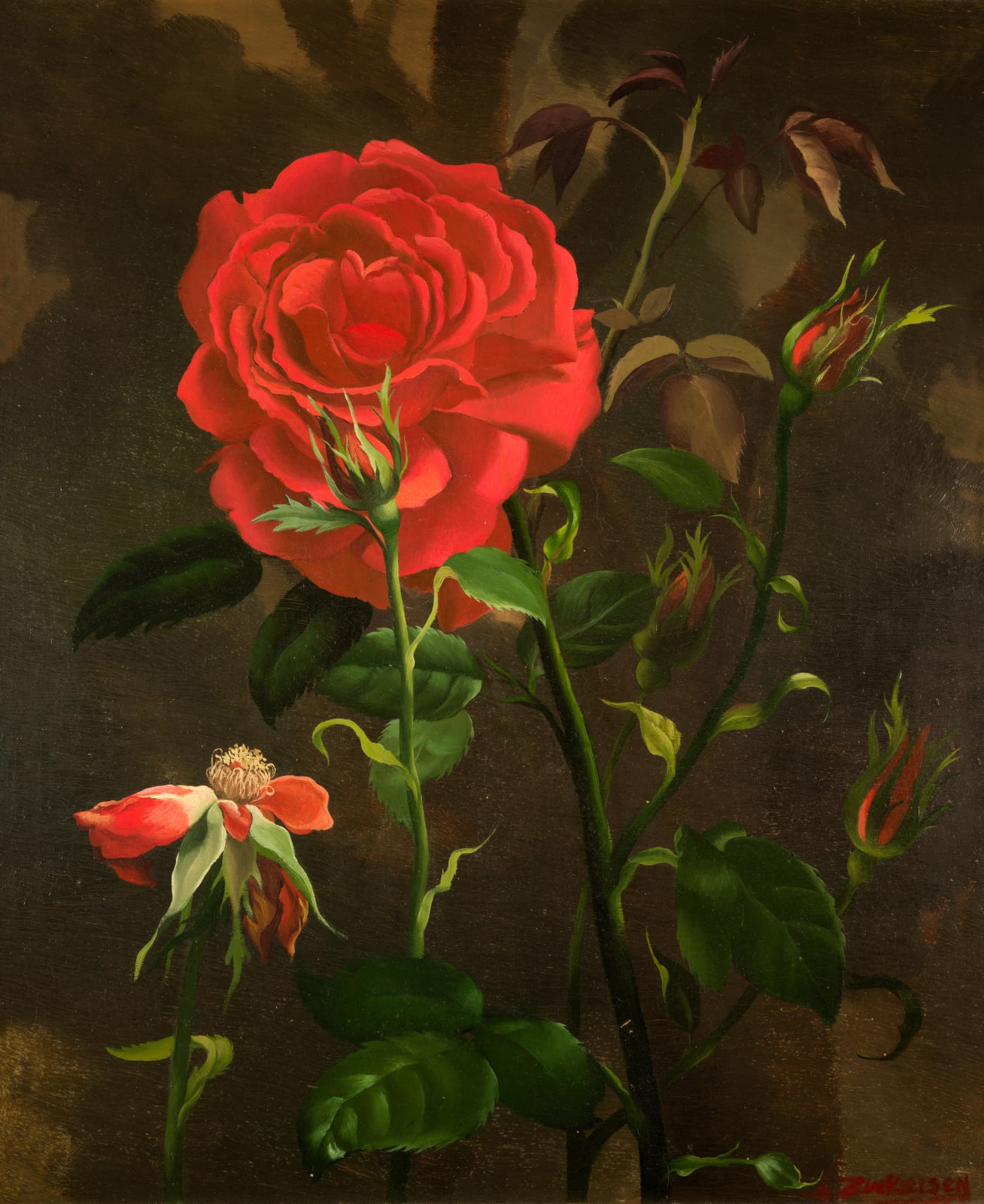 Anna Zinkeisen Study of Roses