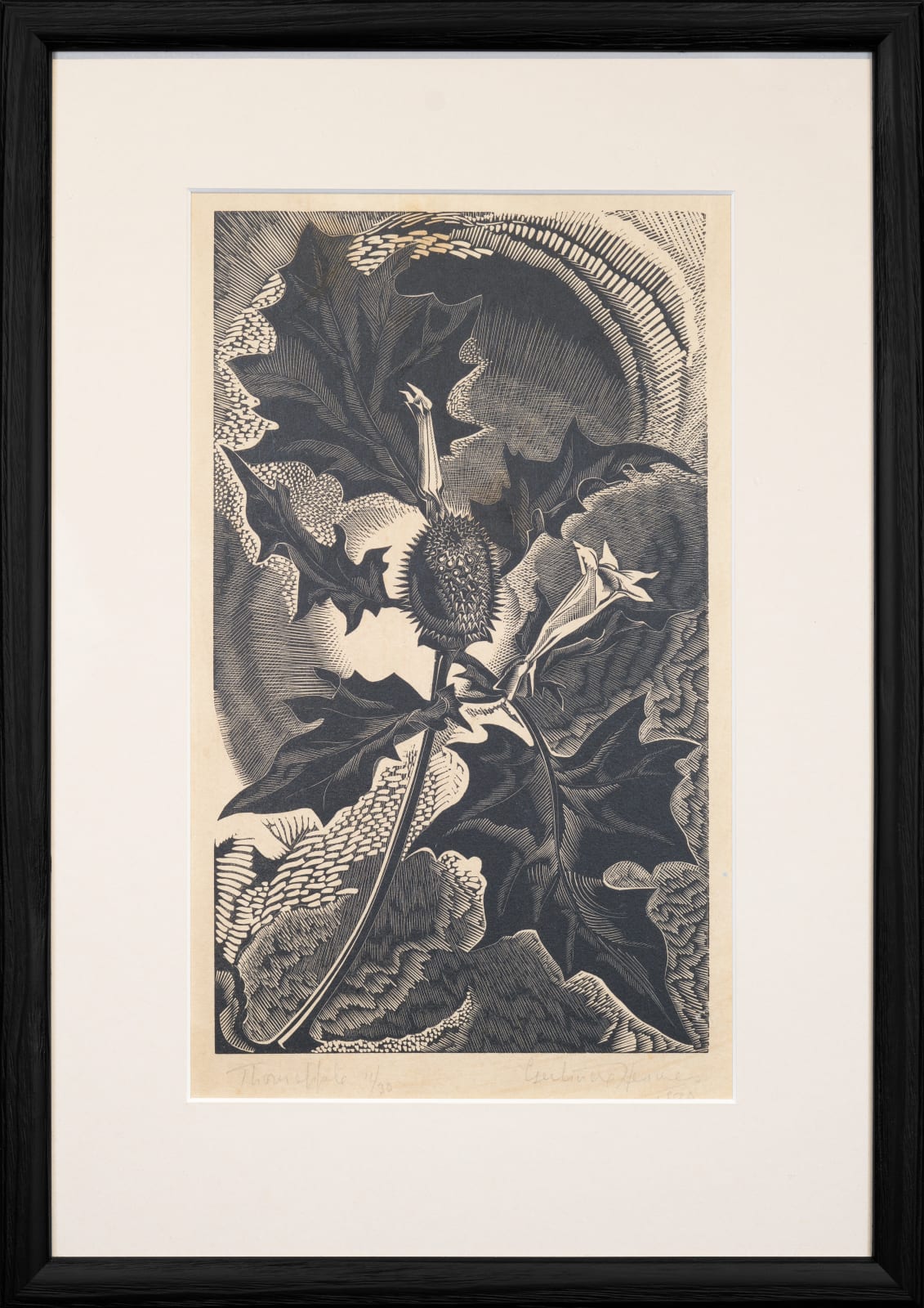 Gertrude Hermes Thorn Apple