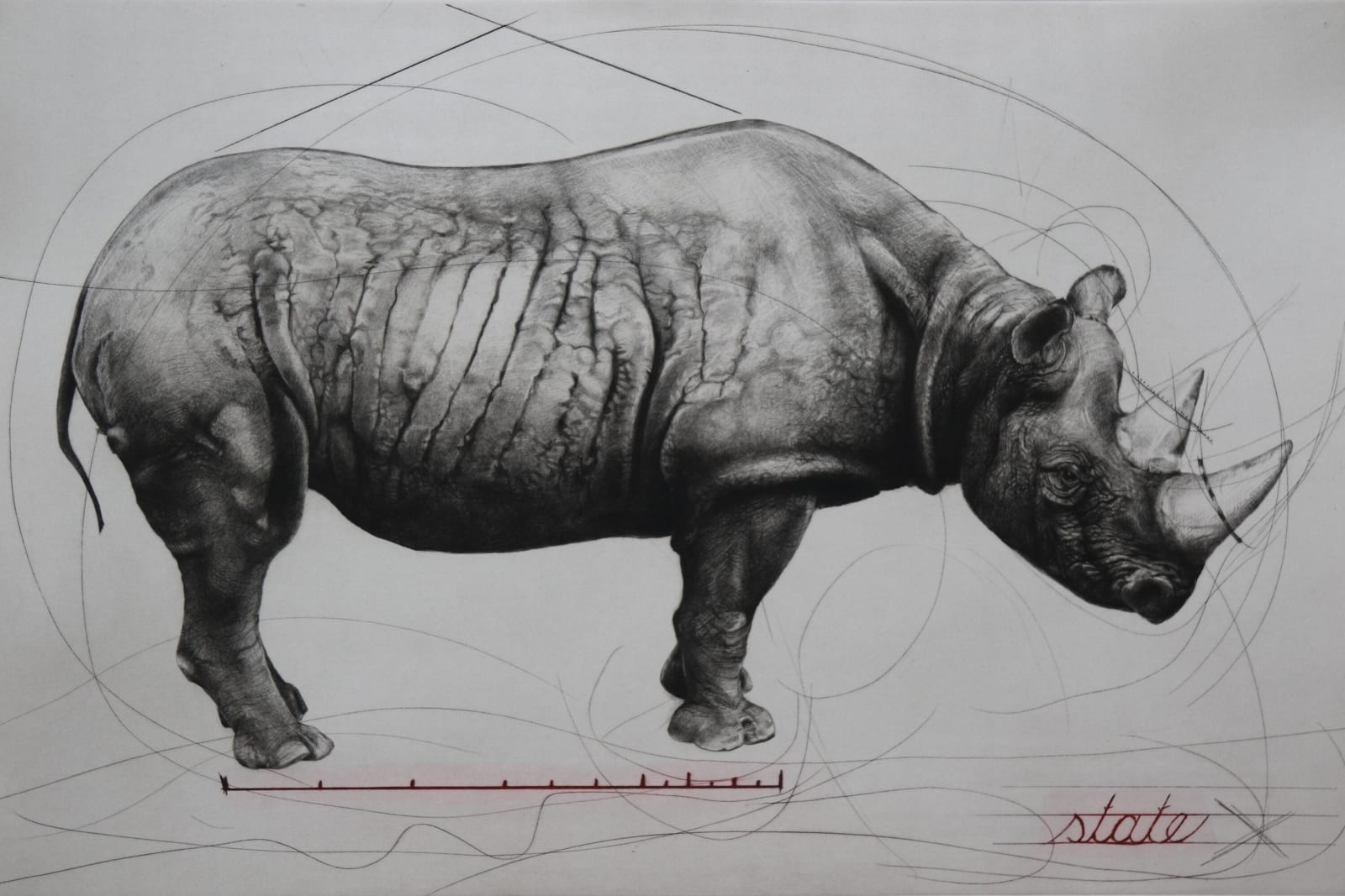 Tammy Mackay, RHINOCEROS (state I), 2017