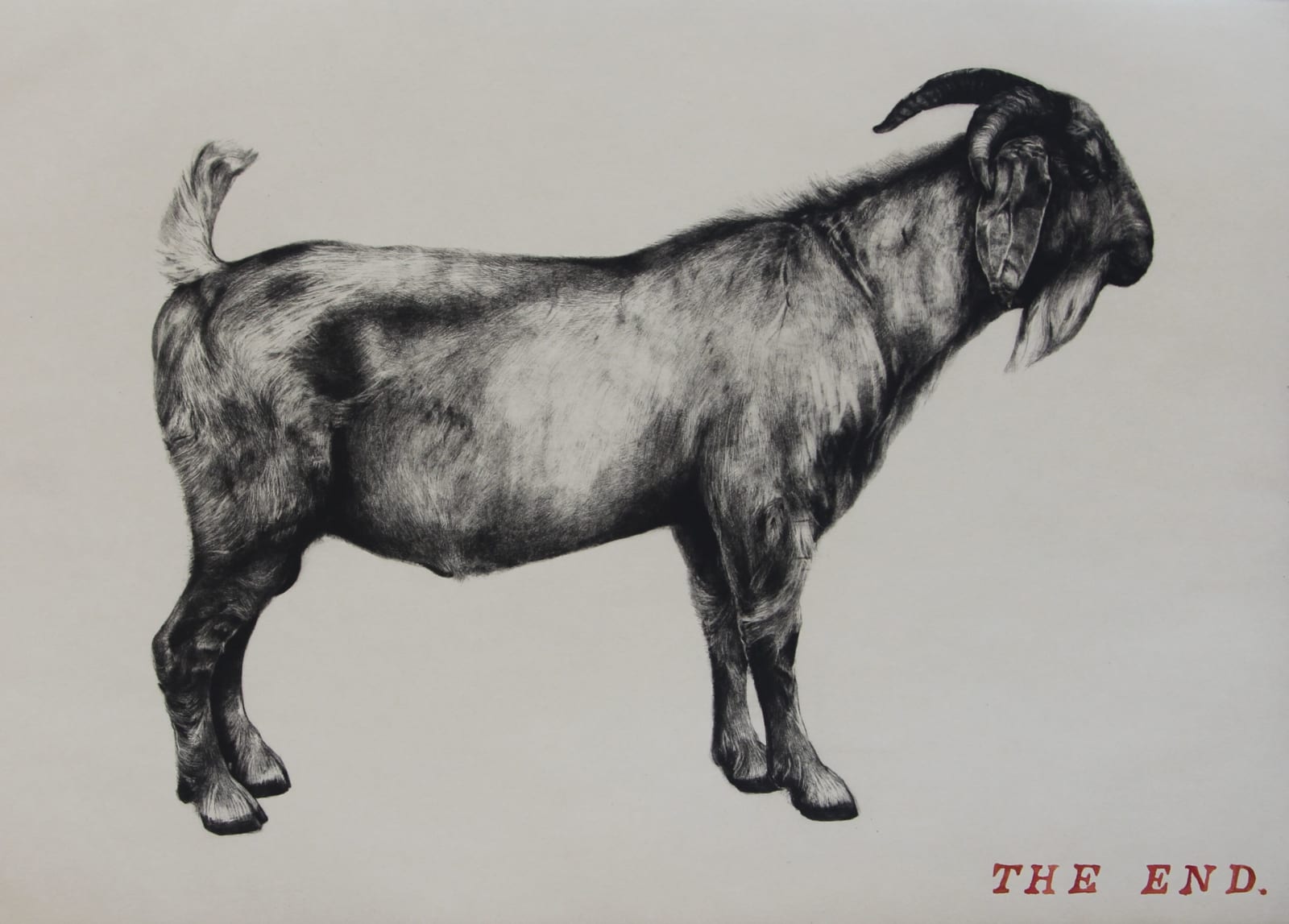 Tammy Mackay, Untitled (The End), 2015