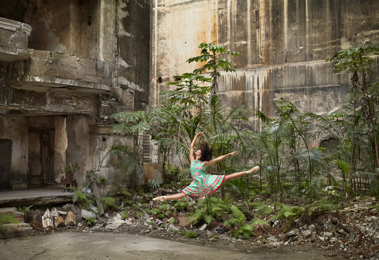 Gillian Hyland, Flight Of Fancy